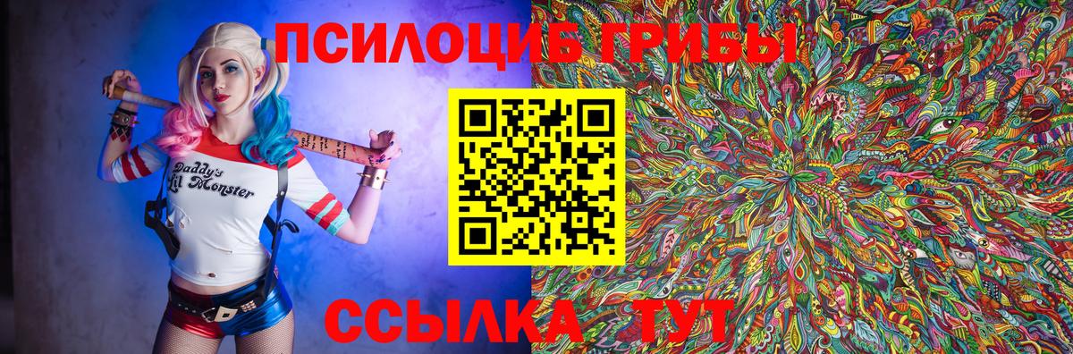 Галлюциногенные грибы Psilocybe Ленинск-Кузнецкий