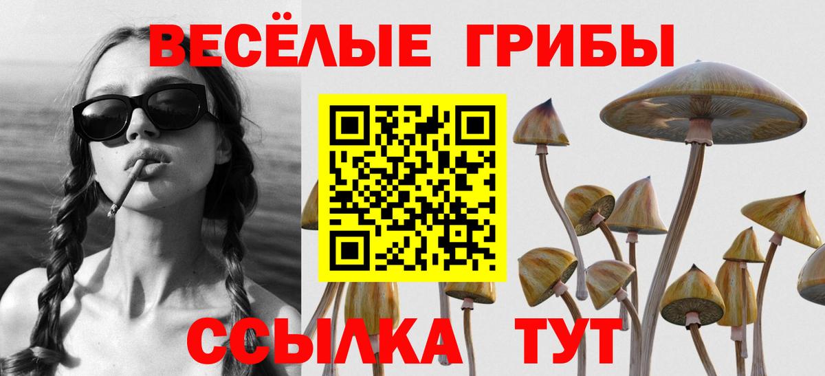 купить  цена  Вход с VPN  Галлюциногенные грибы MAGIC MUSHROOMS  Ленинск-Кузнецкий  Псилоцибиновые грибы MAGIC MUSHROOMS 
